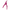 COLORFUL CORTA TIP  Little Rose